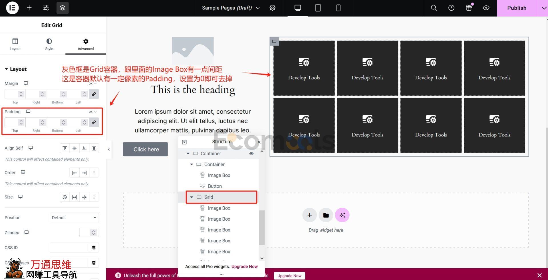 Elementor基础：Container（容器）和Layout（布局）详解