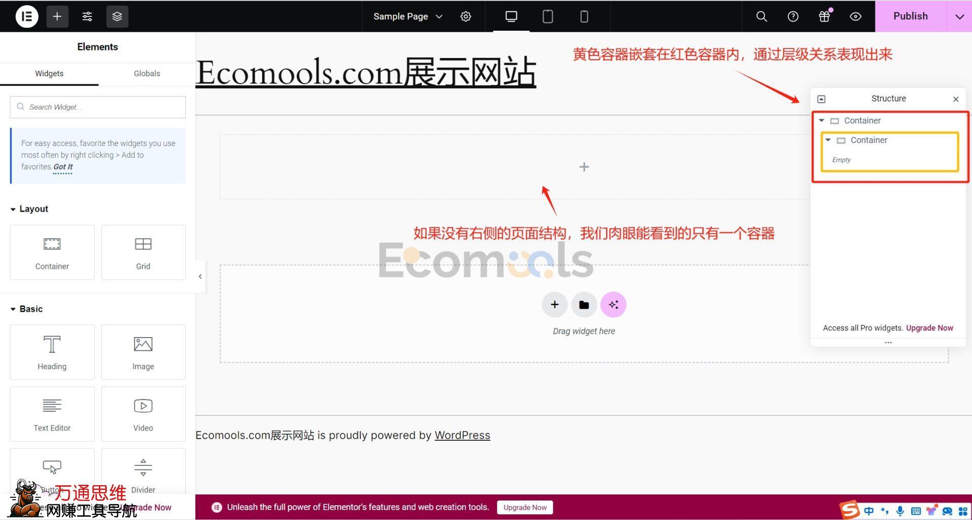 Elementor基础：Container（容器）和Layout（布局）详解