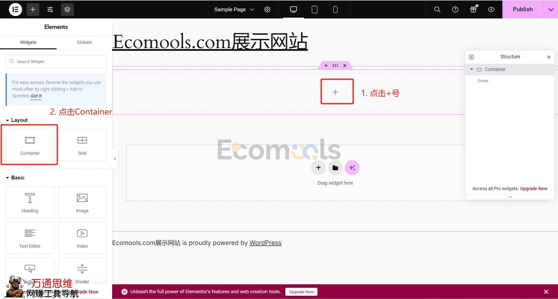 Elementor基础：Container（容器）和Layout（布局）详解