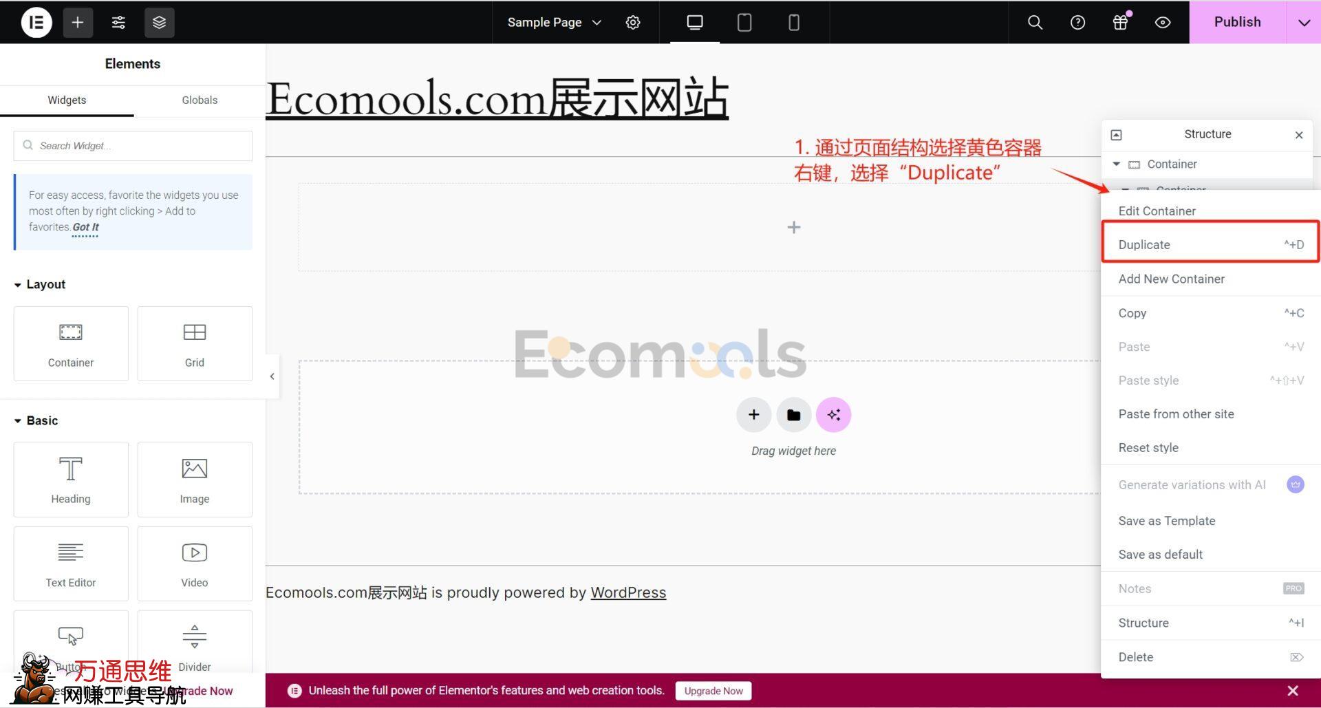 Elementor基础：Container（容器）和Layout（布局）详解