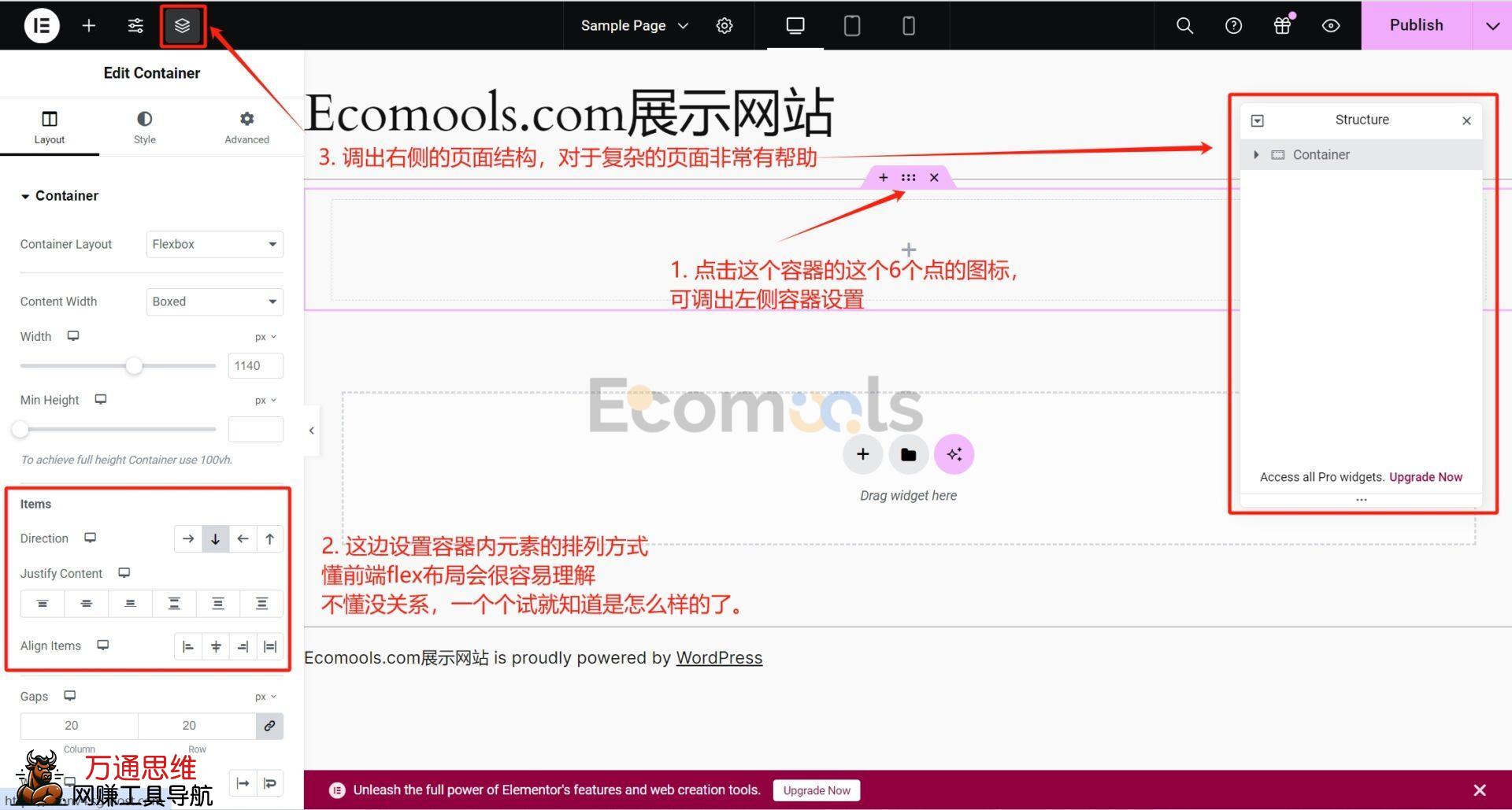 Elementor基础：Container（容器）和Layout（布局）详解
